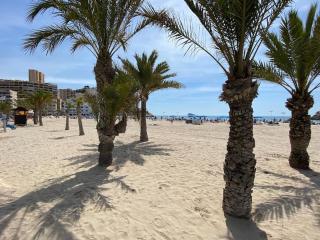 Appartement La Cala - 0