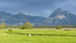 Allgäuer Landhaus Stocker - Hopferau - 3