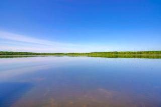 Pet-Friendly Cook Vacation Rental on Battle Lake! - 8