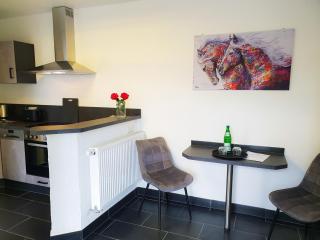 Moderne Ferienwohnung Black Beauty auf idyllischem Reiterhof nähe Burg Eltz - Münstermaifeld - 6