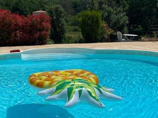 Gorges du Verdon : Guest house avec piscine - Baudinard - 7