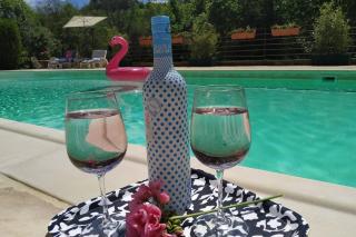 Gorges du Verdon : Guest house avec piscine - Baudinard - 3