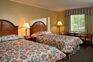 Wellfleet Motel & Lodge - Wellfleet - 2