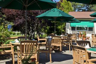 Wellfleet Lodge - 3
