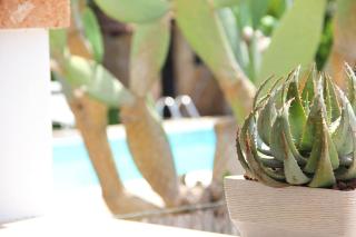 VILLA LI CUTI - property for exclusive use - San Donato di Lecce - 2
