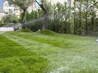 Nereus Luxury Apartments - 8