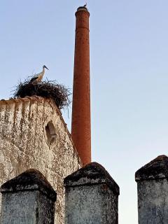 Retiro da cegonha - Crato - 5