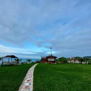Perice Konak - Sinop - 6