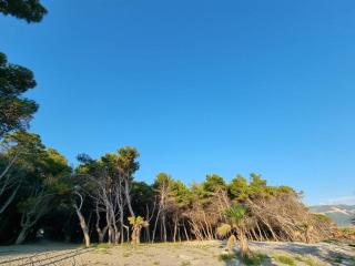 Dhoma plazhi Agimi - 4