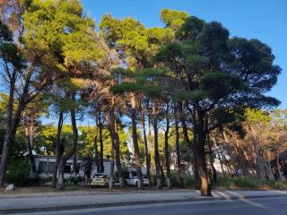 Dhoma plazhi Agimi - Vlora - 1