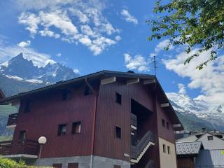 Appartement cosy avec vue Mont-Blanc, parking, animaux acceptés - FR-1-517-26 - Chamonix-Mont-Blanc - 7