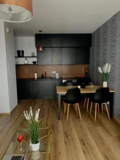 Apartament Drewnowska przy Manufakturze - Łódź - 4