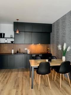 Apartament Drewnowska przy Manufakturze - Łódź - 2