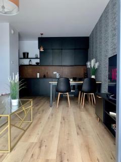 Apartament Drewnowska przy Manufakturze - Łódź - 1