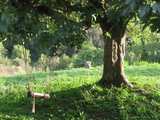 Bed and Breakfast Casanova de Sant Miquel - 5