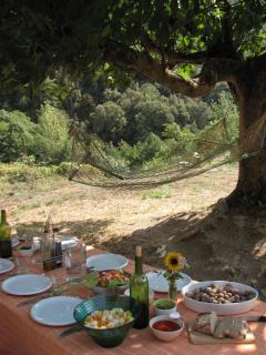 Bed and Breakfast Casanova de Sant Miquel - Aiguafreda - 2