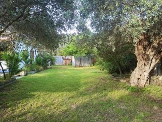 Zephyr Guest House - Lefokastro - 4
