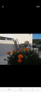 APARTMENTS DIMITRA - Valanidorachi - 1