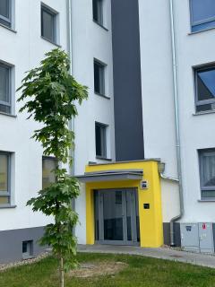 Apartament Elle - Malbork - 8