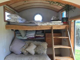 Secluded Shepherds Hut, with a view and hot tub - 6