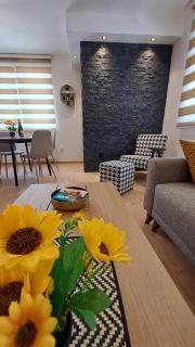 Vila Jahor Apartmani JET SET Lux 4,5,6 - Jahorina - 0