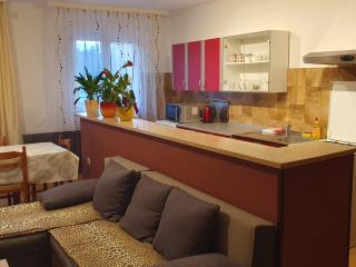 Apartments Sara - Labin - 7