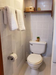 Centric, private, petfriendly apartments in Miraflores - Lima - 9