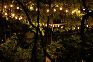 Dzama Guest House - Ort'ubani - 6