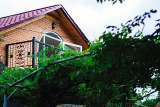 Dzama Guest House - Ort'ubani - 5