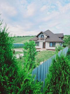 Vila Kalibu - Piatra Neamţ - 5