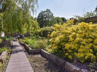 Willow Tree Cottage - Hayle - 9