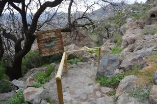 Casa Cueva El Pedregal Tejeda - Tejeda - 7