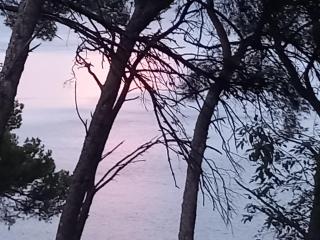 Chambre d hôte les heures claires - Istres - 8