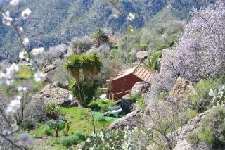 Casa Cueva El Pedregal Tejeda - Tejeda - 3