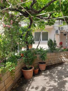 Villa Adria - Mlini - 4