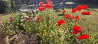 Le Clos des Roses - 9
