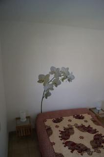 Maisonnette climatisée 46 m2 - Andernos-les-Bains - 8