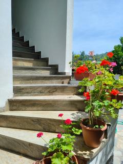 Armonia & Anemos Family Apartments - 5