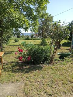 LUNA APARTMENTS Quiet Retreat, Close to Koper, AirCon, Parking - 6