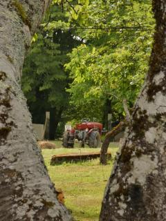 Domaine du Venet - Montcony - 5