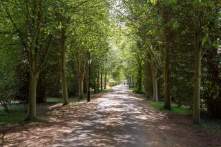 Rectory Farm - Cambridge - 1