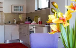 Sunshine Apartments Visoko - Visoko - 4