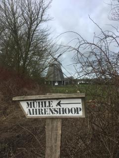 Zum Froschkönig - Ahrenshoop - 1