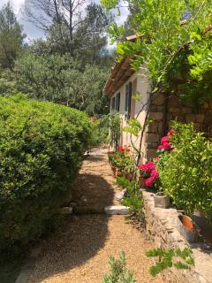 Bastidon de Moon - Taradeau - 4