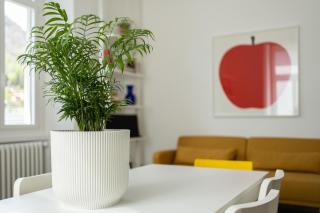Lago Design Guest House - Como Center - 6