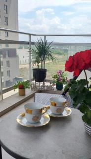 SUNSHINE - New & Quiet 1BR Apt, Business area, close to Airport, Highway A3, Subway - Bucarest - 8