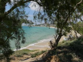 Studio Naxos Orkos plage - 3