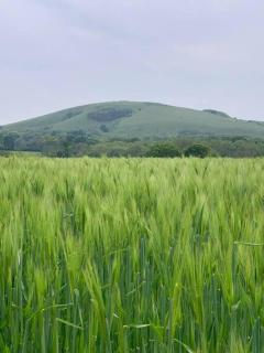 Country Apartment - Hurstpierpoint - 5