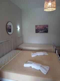 Elina Apartments - Batsi - 1