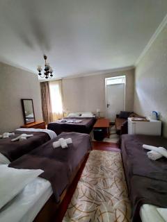 Kazbegi Guest House - Kazbegi - 1